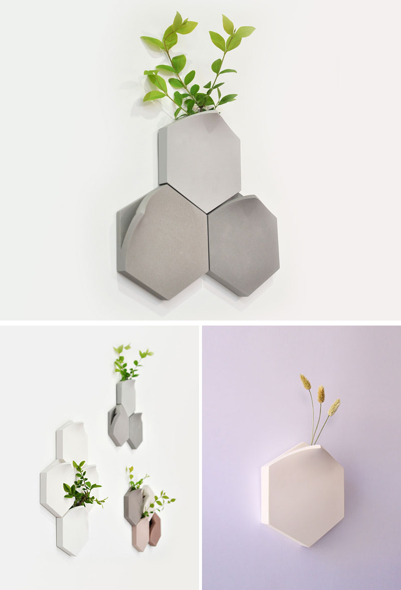 طراحی گلدان های دیواری تامسا برای نمایش قدرت طبیعت