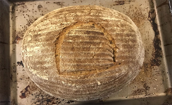 پخت نان تازه با خمیرمایه ۴۵۰۰ ساله!