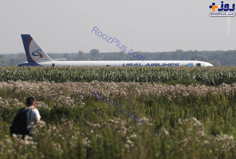 فرود اضطراری هواپیمای ایرباس در مزارع ذرت+عکس