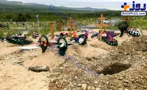 خرس گرسنه اجساد یک قبرستان را خورد+عکس
