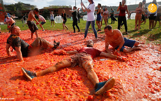 نابودی ۲۰ تُن گوجه فرنگی در یک جشن