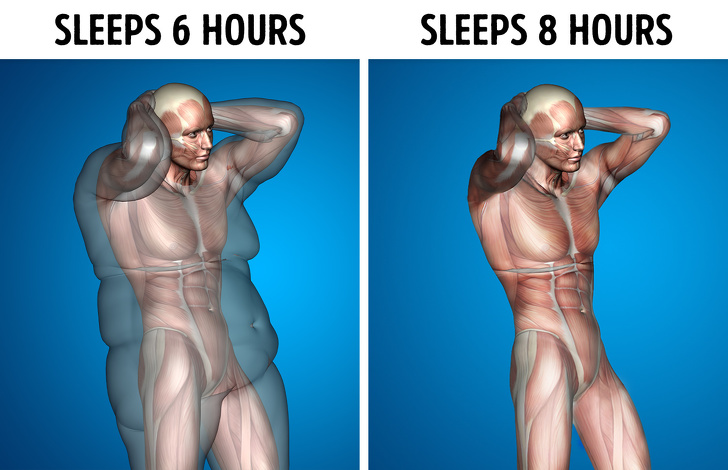 اگر هر شب ۸ ساعت بخوابیم دقیقاً چه اتفاقی در بدن‎مان می‎افتد؟
