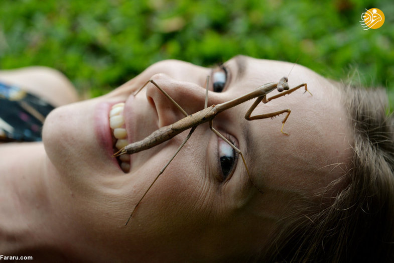 دختری که با راه رفتن حشرات روی صورتش آرامش می‌گیرد+عکس