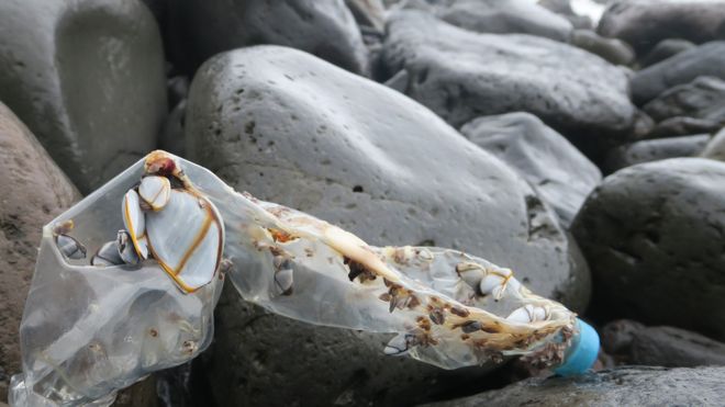 جزیره‌ای که ابعاد مشکل زباله پلاستیکی در دریاها را آشکار می‌کند