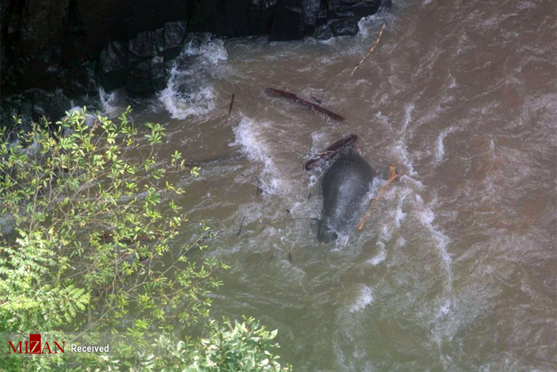 تصاویری از مرگ شش فیل بر اثر سقوط از یک آبشار