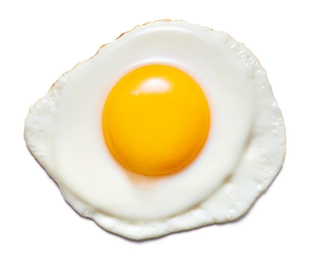 حقایقی در باره تخم‌مرغ؛ بالاخره خوب است یا مضر؟