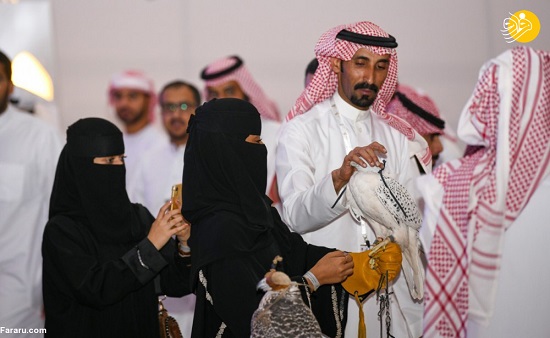علاقه زنان عربستانی به شاهین شکاری +عکس