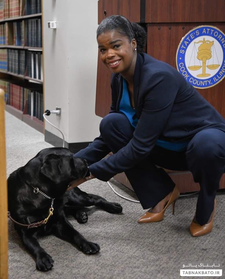 نخستین سگ به سمت وکیل در آمریکا مشغول به کار شد