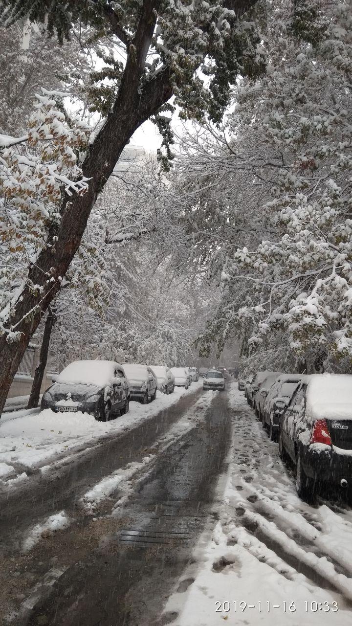 بارش برف پاییزی در خیابان فرمانیه