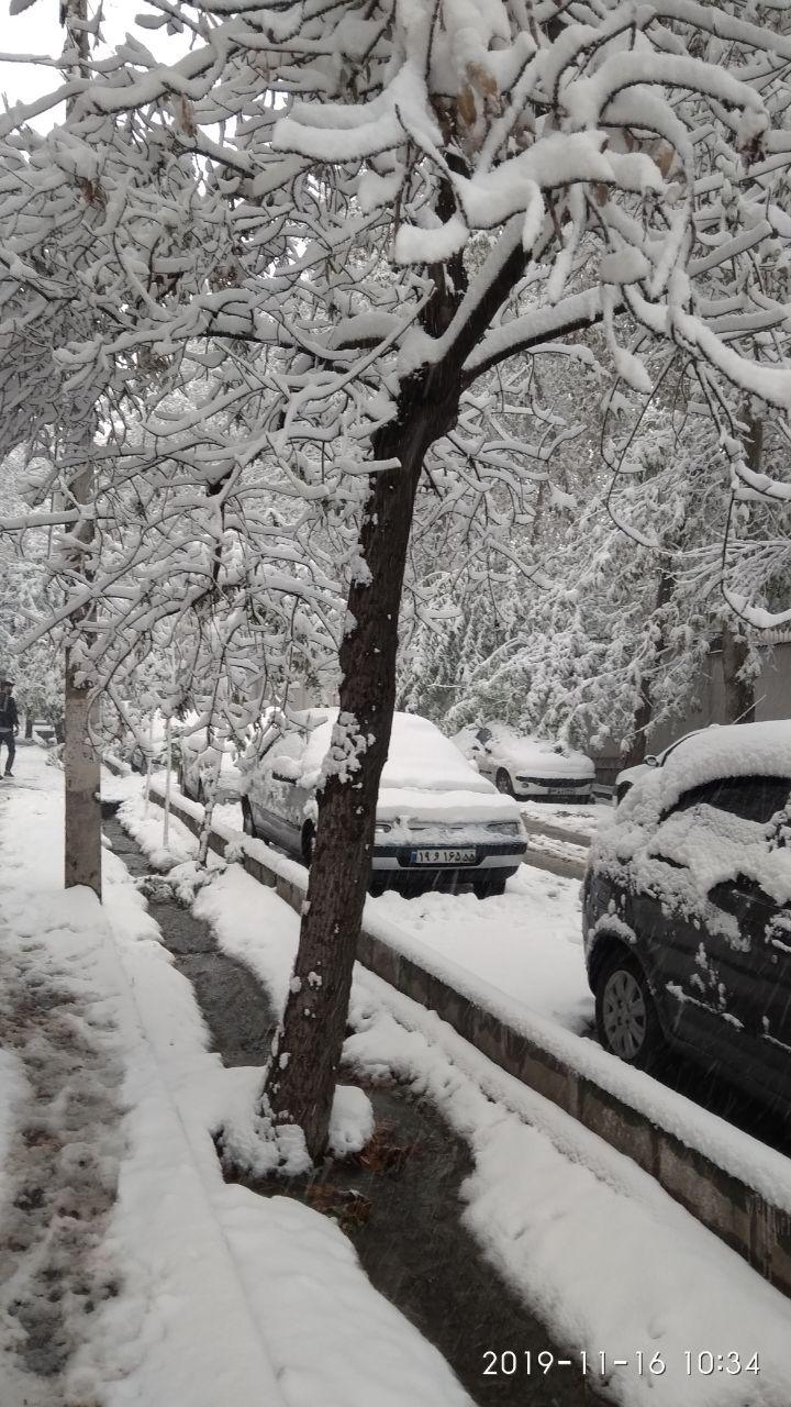 بارش برف پاییزی در خیابان فرمانیه