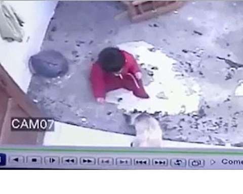 نجات معجزه آسای یک کودک از سقوط توسط یک گربه