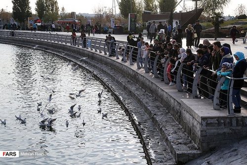 تهران؛ میزبان «پرندگان سیبری»