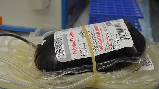 تغییر شگفت انگیز گروه‌های خونی متفاوت به یک واحد مشترک