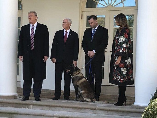 تجلیل ترامپ از سگی که بغدادی را به دام انداخت +عکس