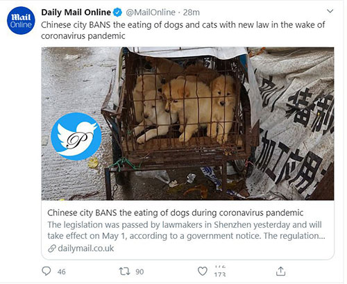 خوردن سگ و گربه در چین ممنوع می‌شود