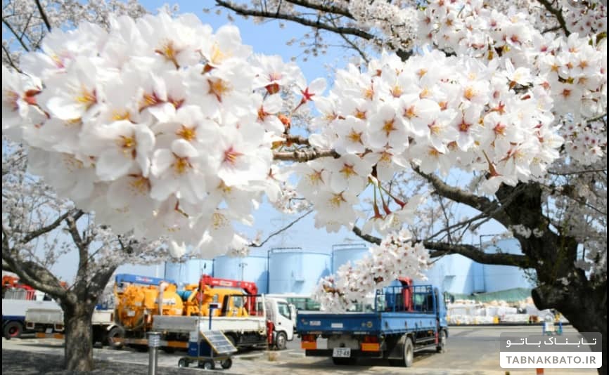 ده سال پاکسازی چطور ژاپنی ها از پس پاکسازی فوکوشیما برآمدند ؟