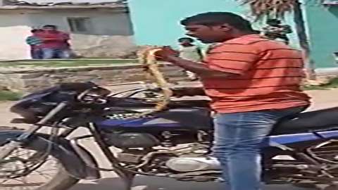 زنده خوردن یک مار توسط جوان هندی در پشت موتورسیکلت!(+18)