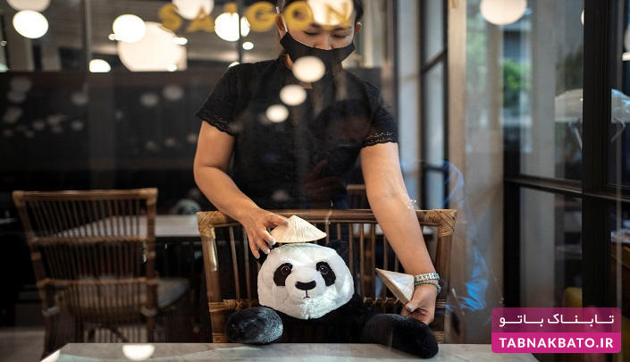 عروسک پاندا، راه‌حل رستوران تایلندی برای مبارزه با تنهایی