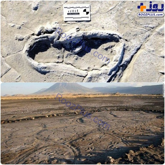 کشف بزرگ‌ترین مجموعه ردپای انسانی +عکس