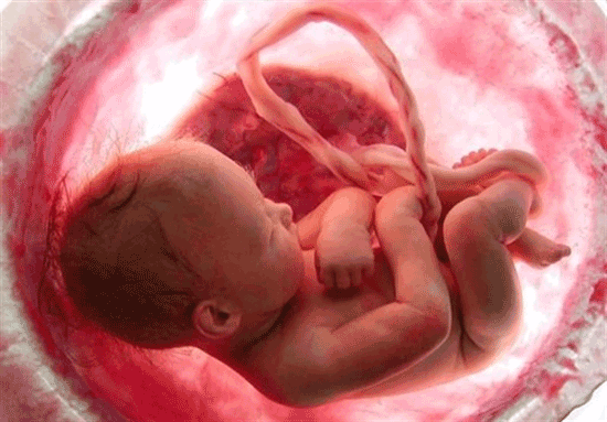 از مراکز «سقط جنین زیرپله‌ای» چه می‌دانید؟