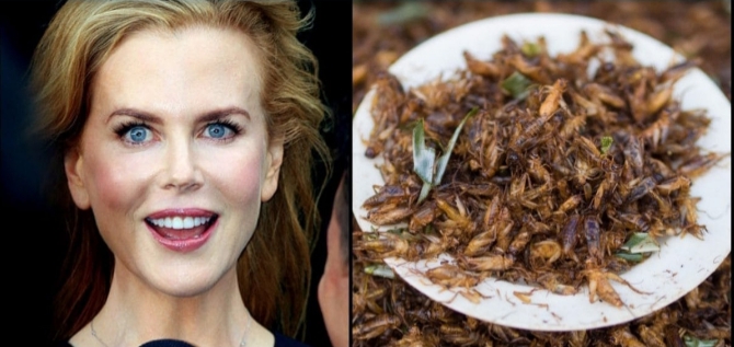 بازیگر معروف  مردم را به خوردن حشرات دعوت کرد