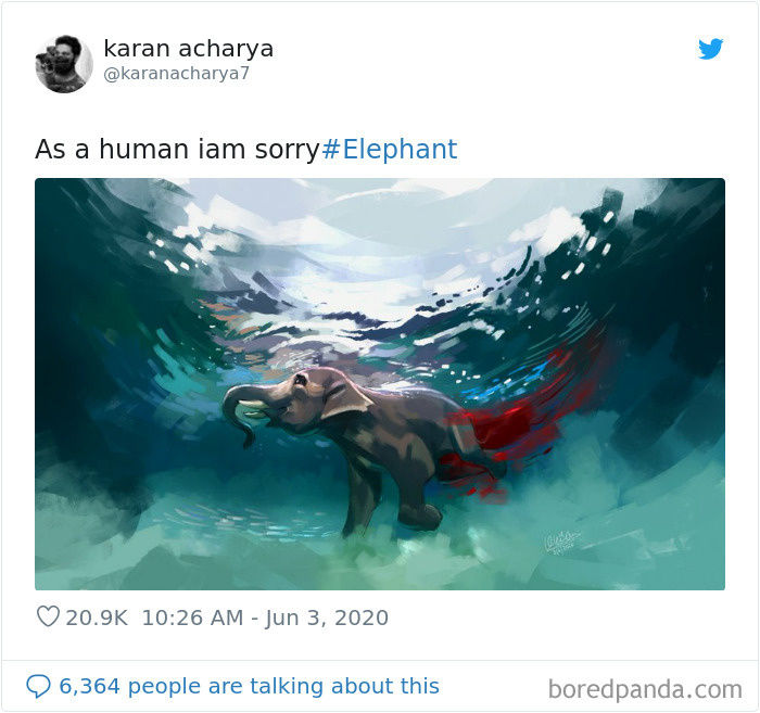 ویدیو و تصاویر دردناک مرگ ایستاده فیل باردار در هند به خاطر خوردن ترقه