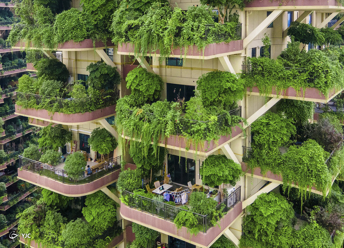 نمای جنگلی در بالکن آپارتمان های لوکس+عکس