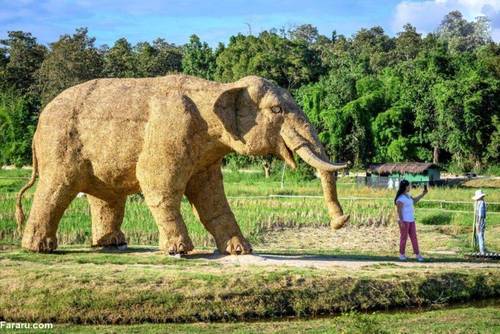 ساخت مجسمه‌های حیوانات با ساقه‌های برنج