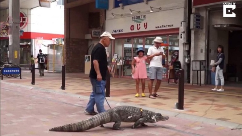 خیابان گردی مرد ژاپنی با حیوان خانگی عجیبش+عکس