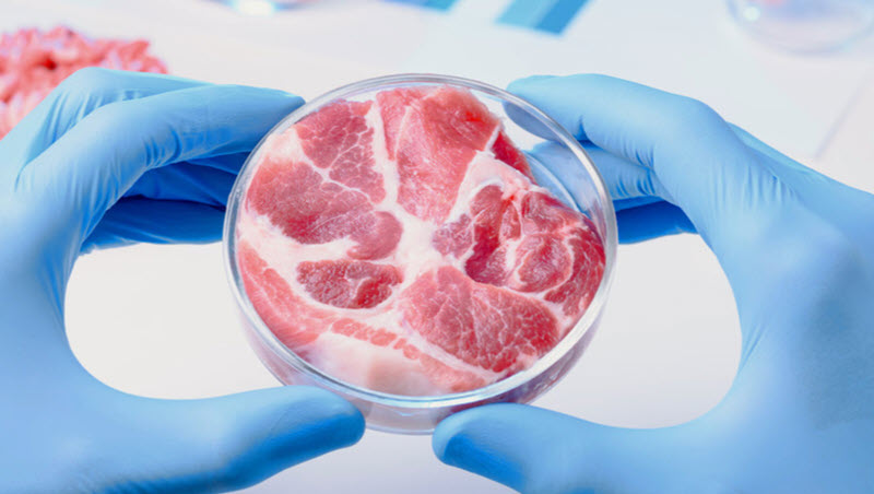 چه زمانی گوشت مصنوعی تولید شده در آزمایشگاه‌ها را خواهیم خورد؟