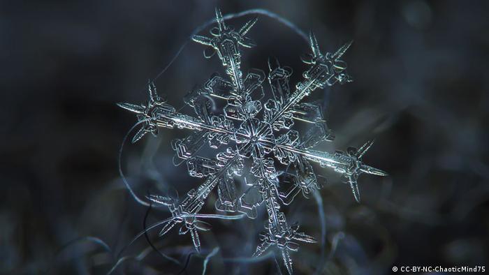 سرگذشت یک دانه برف از آغاز تا پایان به روایت تصویر