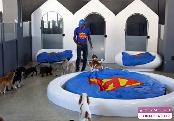 هتل شش ستاره سگ‌ها در فقیرترین کشور دنیا
