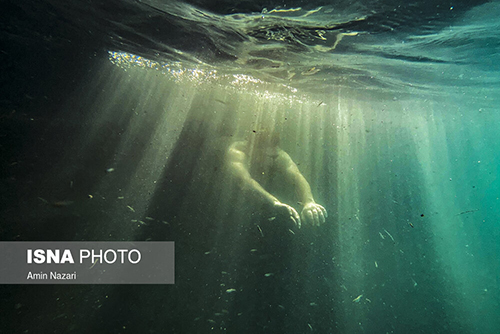 تصاویری از دنیای خنک زیر آب