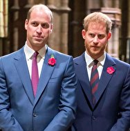 به دام افتادن دو شاهزاده انگلیسی در جنگ رسانه ای
