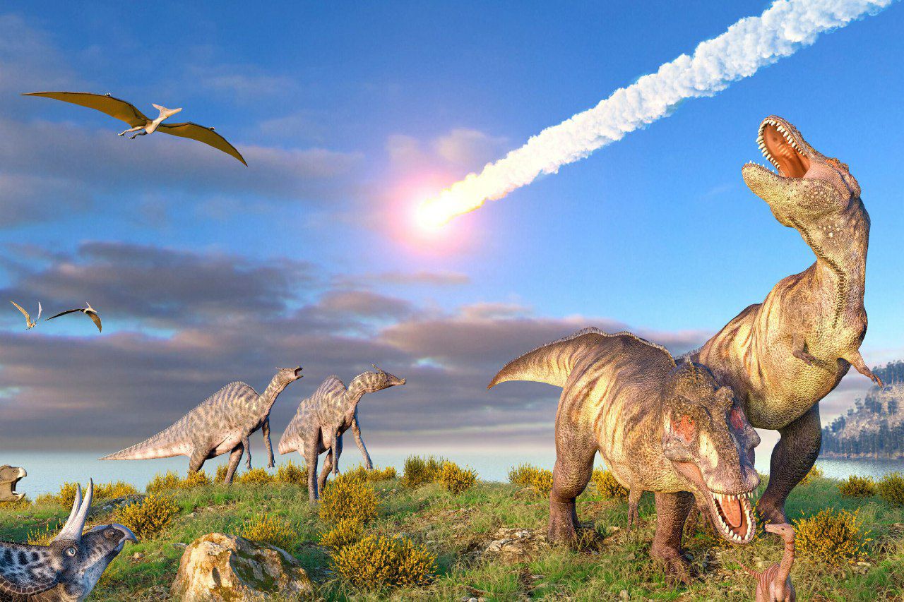 سوسک‌ها؛ موجوداتی که ۶۶ میلیون سال پیش به تماشای انقراض دایناسورها نشستند