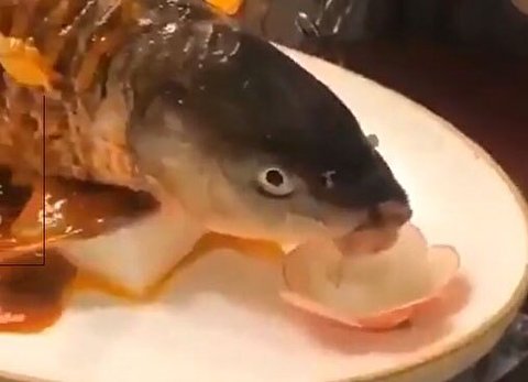 خوردن ماهی زنده توسط چینی‌ها در رستوران!