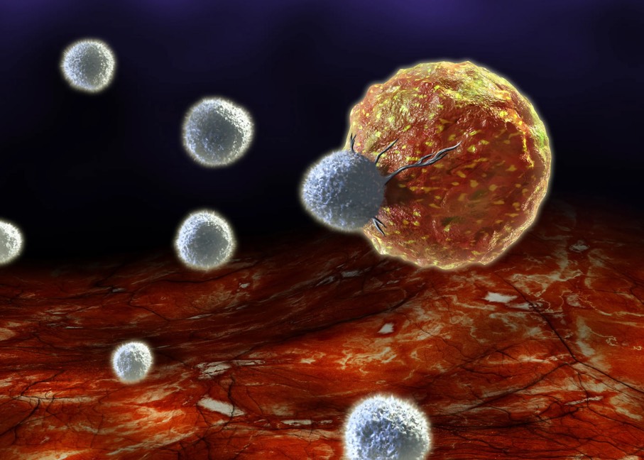 ابن واکسن نوین سرطان، سلول‌های سرطانی را تبدیل به سلول‌های شناساننده آنتی‌ژن به سلول‌های ایمنی می‌کند