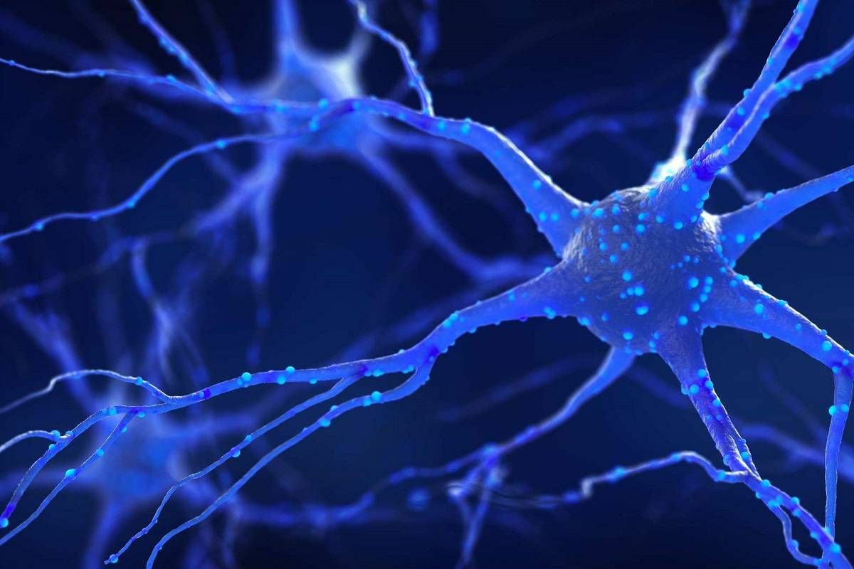 شناسایی سلول‌های خاصی که در مغز افراد مبتلا به پارکینسون از بین می‌رود