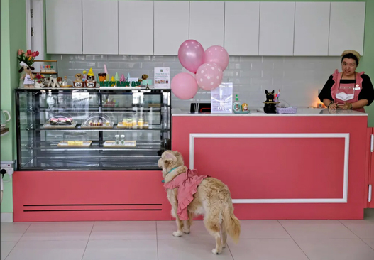 از روبات بُزنما شرکت ژاپنی تا کافی شاپ مخصوص سگ ها