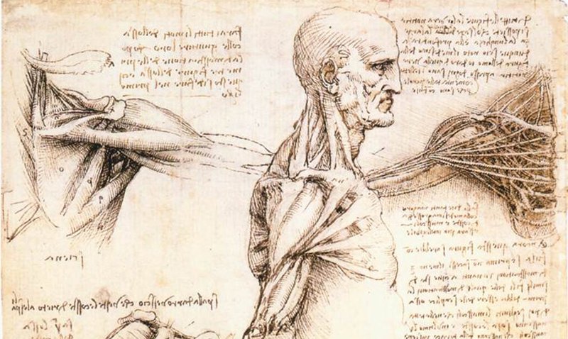 لئوناردو داوینچی، سرگذشت نابغه‌ای که تشنه دانستن بود