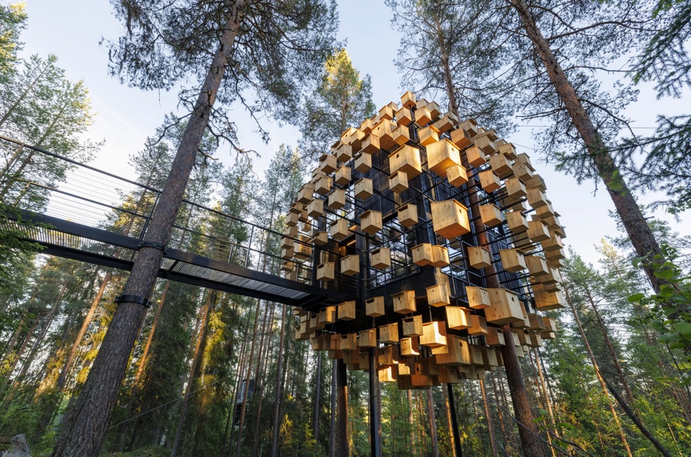 هتل درختی بی‌نظیر و زیبا برای پرندگان