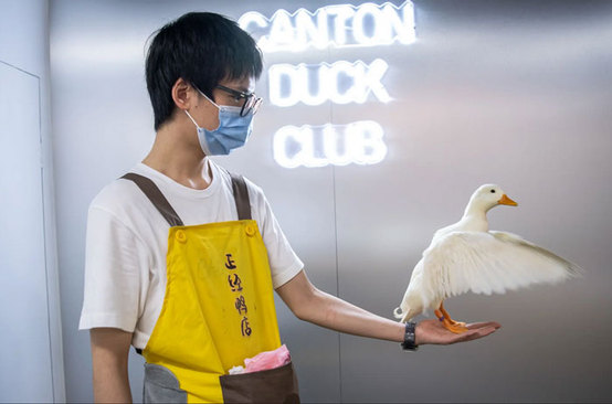 از فروشگاه اردک در چین تا کنسرت 