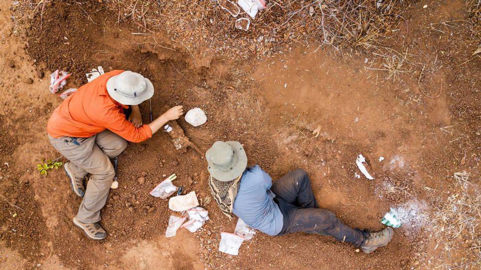 قدیمی‌ترین دایناسور آفریقایی در زیمبابوه کشف شد
