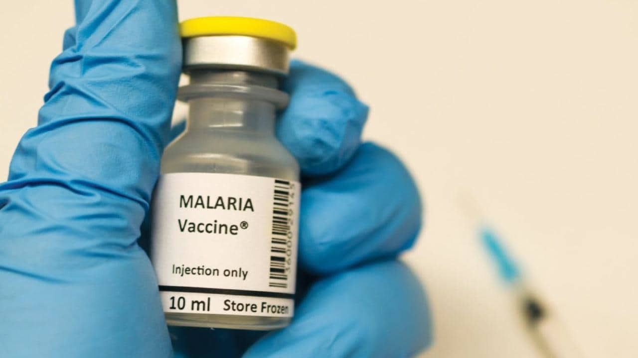 پشه‌ها واکسن مالاریا تحویل می‌دهند!