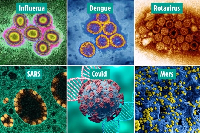 با مرگبارترین ویروس های تاریخ آشنا شوید