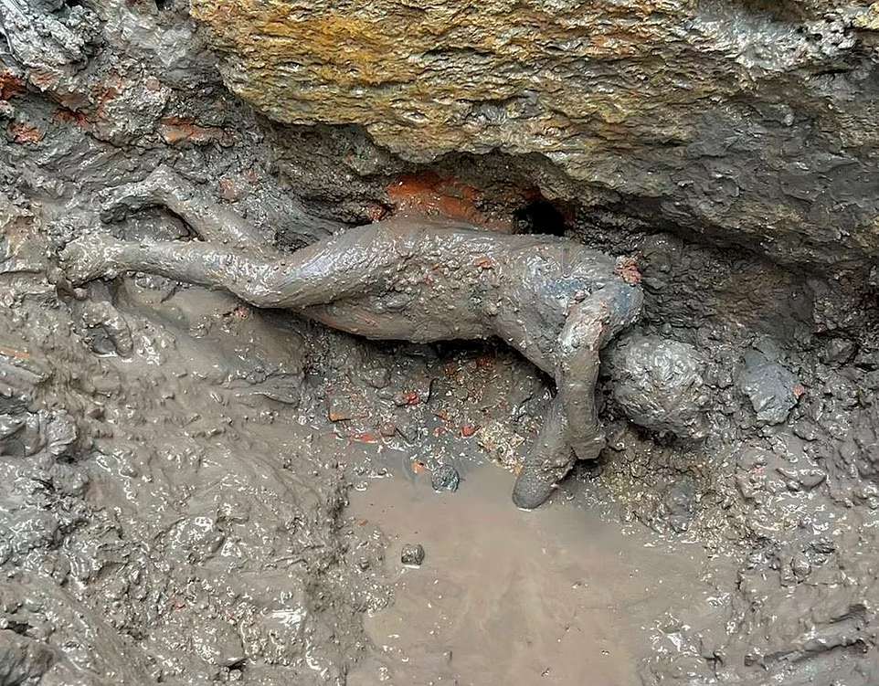 کشف مجسمه‌های ۲۰۰۰ ساله در حمام