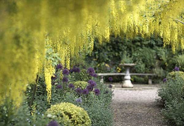 زیباترین باغ‌هایی که در بریتانیا گردشگران زیادی را به سمت خود میکشاند
