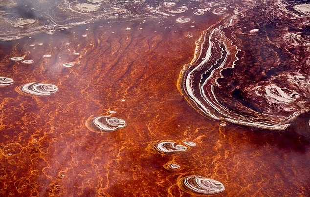 دریاچه‌ای عجیب و غریب در تانزانیا که هر موجودی را به سنگ تبدیل می‌کند(روزیاتو)