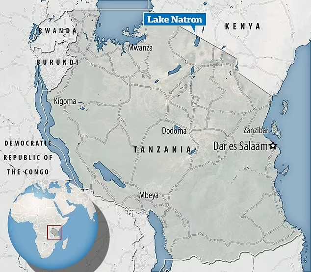 دریاچه‌ای عجیب و غریب در تانزانیا که هر موجودی را به سنگ تبدیل می‌کند(روزیاتو)