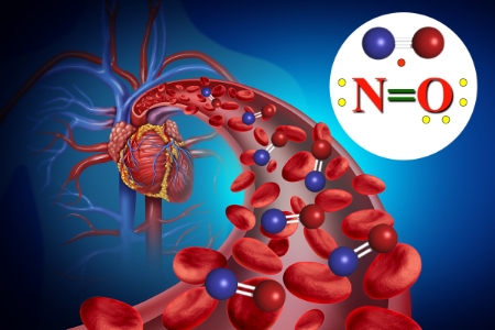 اکسید نیتریک مولکولی که به طور طبیعی توسط بدن شما تولید می‌شود (بیتوته)